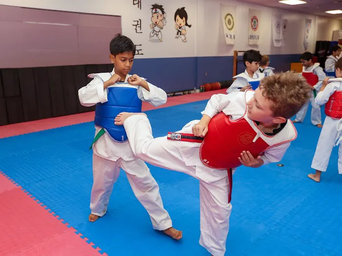 Eagleville Taekwondo Academy Picture 9