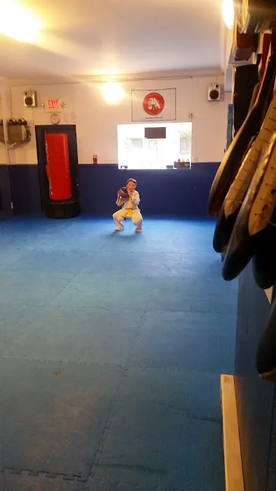 Philadelphia Martial Arts & Kickboxing Picture 5