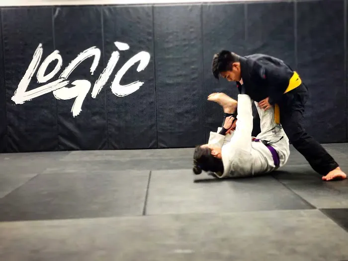 Logic Jiu Jitsu, Muay Thai, & Martial Arts Picture 2