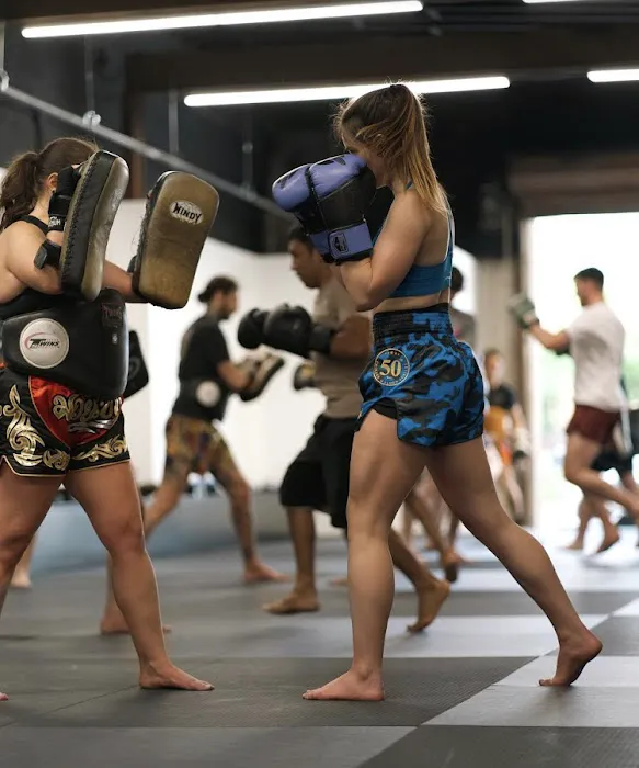 Logic Jiu Jitsu, Muay Thai, & Martial Arts Picture 3