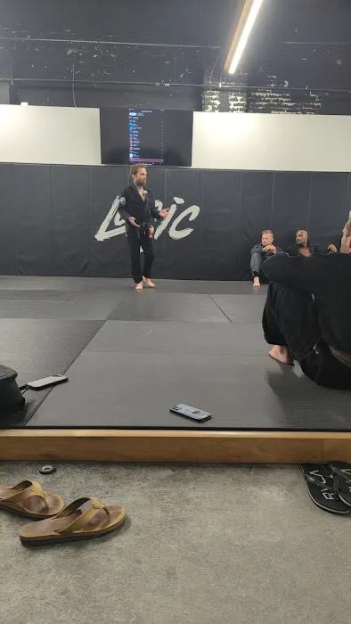 Logic Jiu Jitsu, Muay Thai, & Martial Arts Picture 4