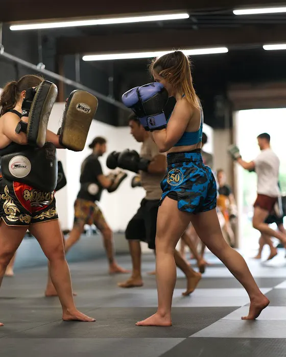 Logic Jiu Jitsu, Muay Thai, & Martial Arts Picture 5