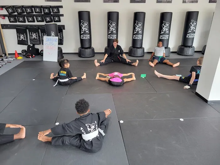 Action Karate Northern Liberties Picture 5