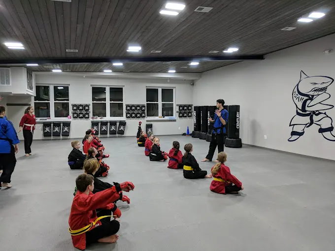 Action Karate Northern Liberties Picture 6