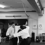Lemon Hill Aikido