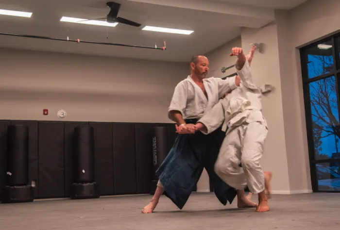 Lemon Hill Aikido Picture 9