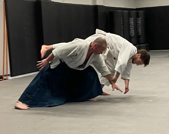 Lemon Hill Aikido Picture 10