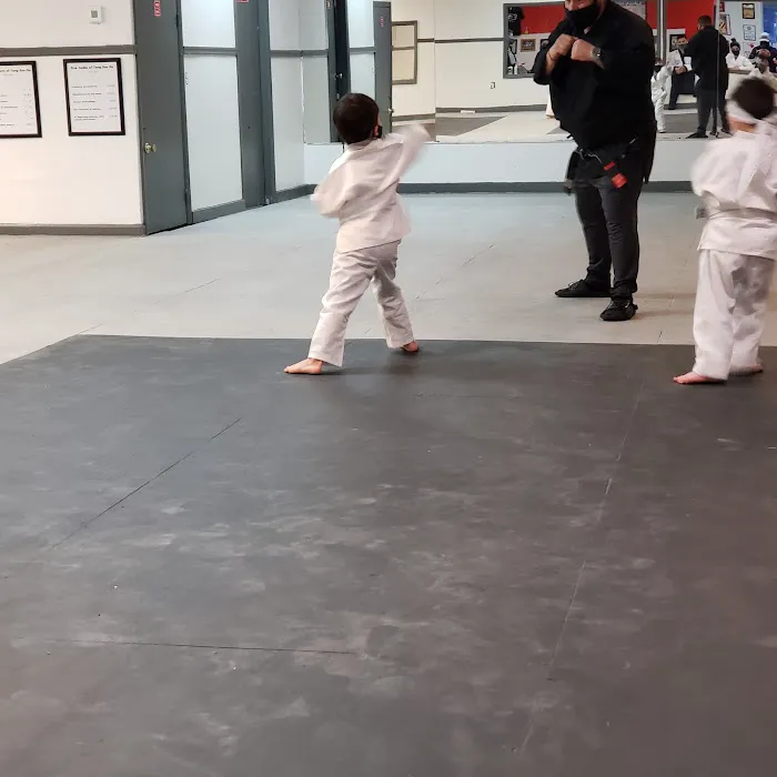 Shin Karate Picture 8