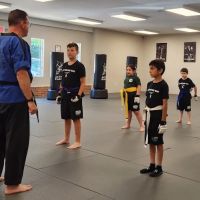 Action Karate Marlton ico