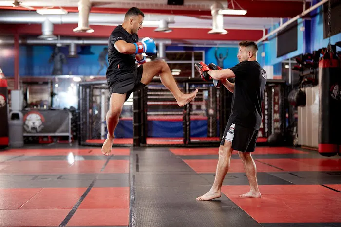 Tiger Schulmann's Martial Arts (Marlton, NJ) Picture 4