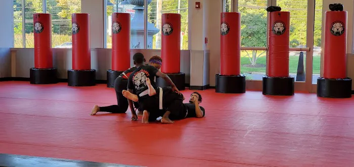 Tiger Schulmann's Martial Arts (Marlton, NJ) Picture 9