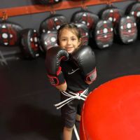 Budo Voorhees Martial Arts ico