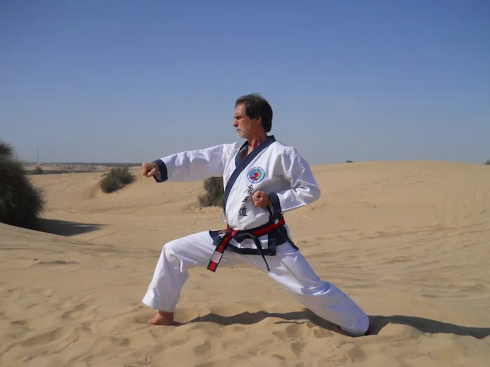 Tang Soo Karate Academy Picture 1