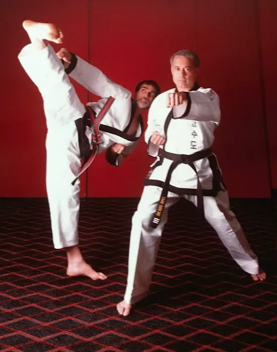 Tang Soo Karate Academy Picture 9