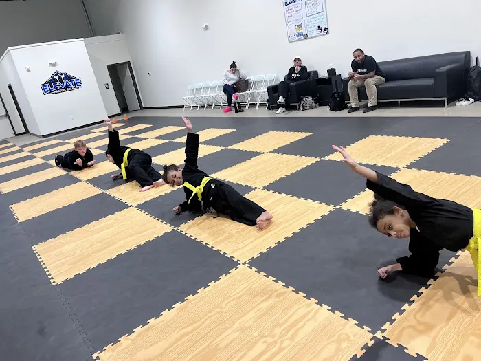 Elevate Martial Arts Deptford Picture 3