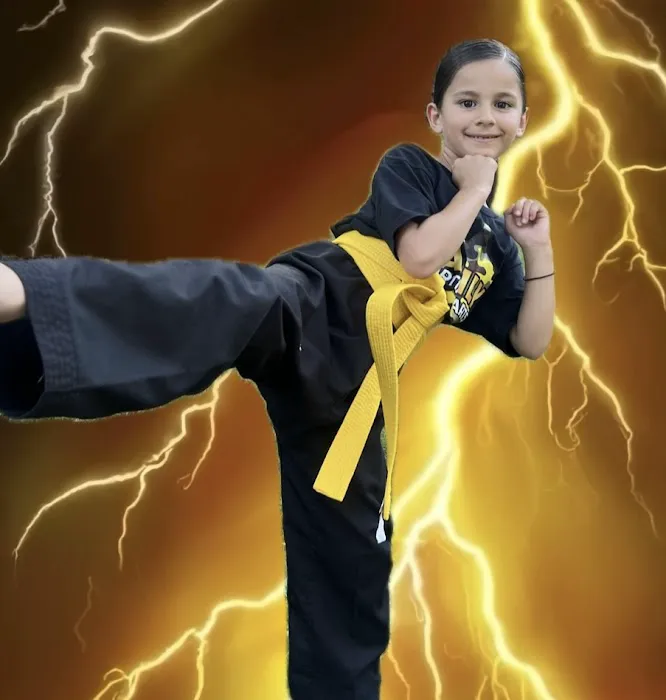 All Star Family Martial Arts Picture 6