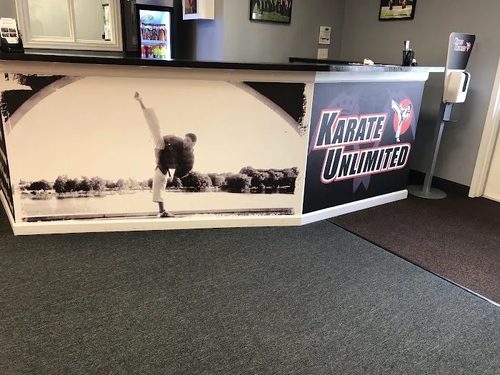 Karate Unlimited Picture 3