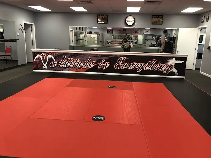 Karate Unlimited Picture 5