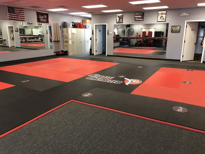 Karate Unlimited Picture 4