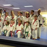 Guardian Traditional Martial Arts ico
