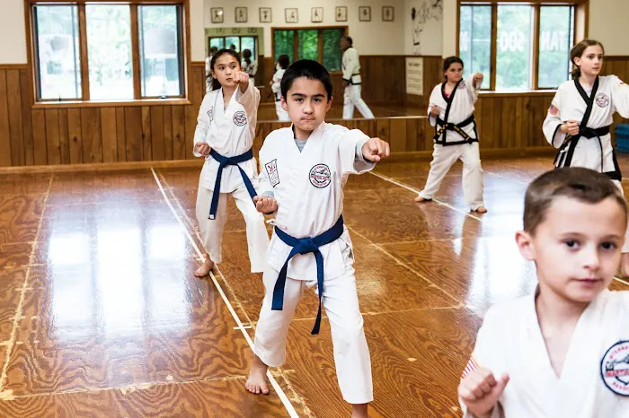Yi's Karate Institute of Woodbury Heights Picture 6