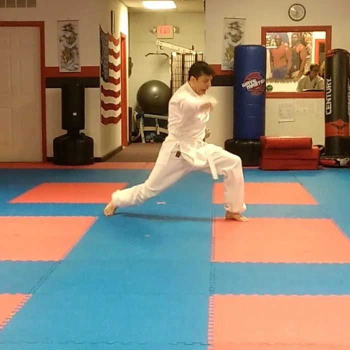 Okinawa Kenpo Karate Academy Picture 3