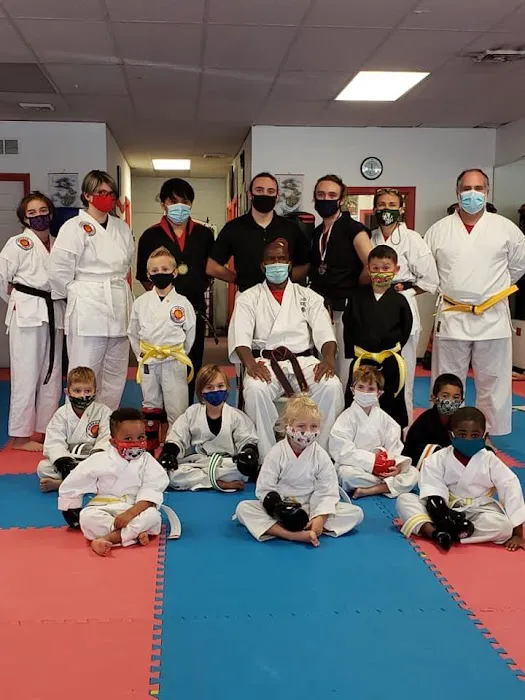 Okinawa Kenpo Karate Academy Picture 2