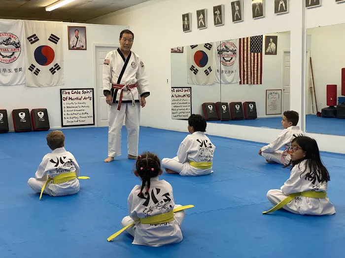 Yi's Karate Institute Picture 6