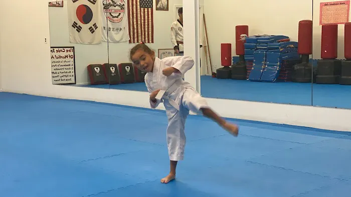 Yi's Karate Institute Picture 4