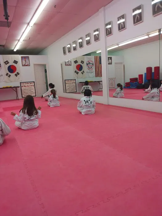 Yi's Karate Institute Picture 9