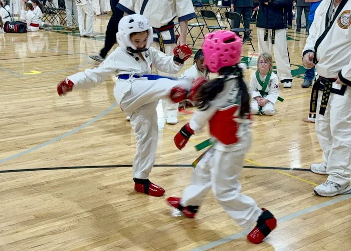 Yi's Karate Institute Picture 8