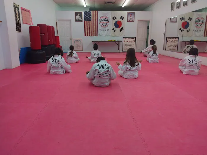 Yi's Karate Institute Picture 10