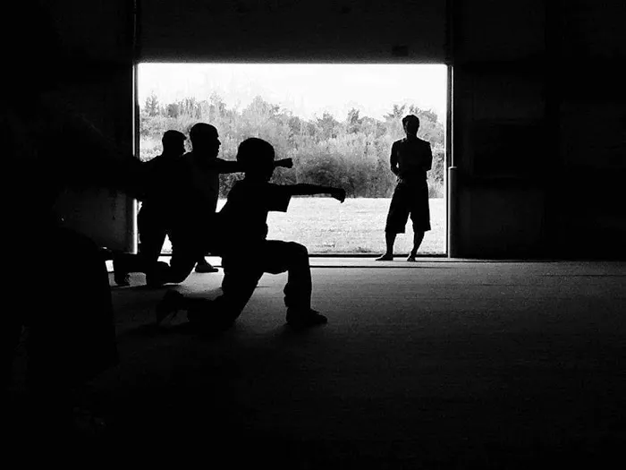 Li's Chinese Martial Arts & Internal Healing Center Picture 2
