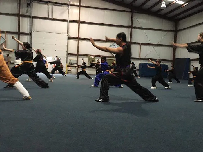 Li's Chinese Martial Arts & Internal Healing Center Picture 1
