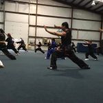 Li's Chinese Martial Arts & Internal Healing Center