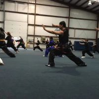 Li's Chinese Martial Arts & Internal Healing Center ico