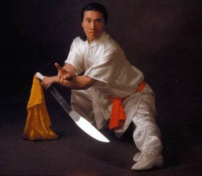 Li's Chinese Martial Arts & Internal Healing Center Picture 4