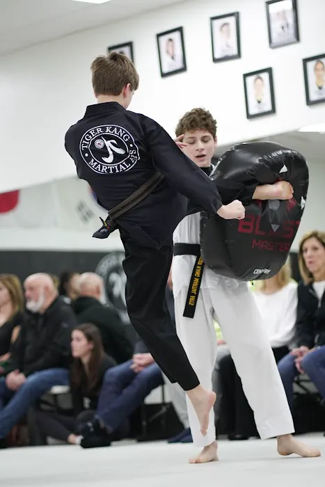 Tiger Kang Martial Arts Picture 1
