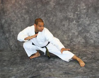 AmeriKick karate trevose Picture 1