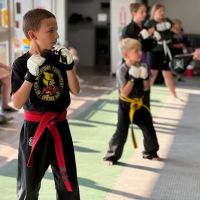 Action Karate Manayunk ico