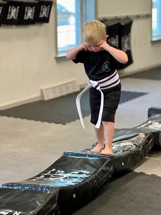 Action Karate Manayunk Picture 8