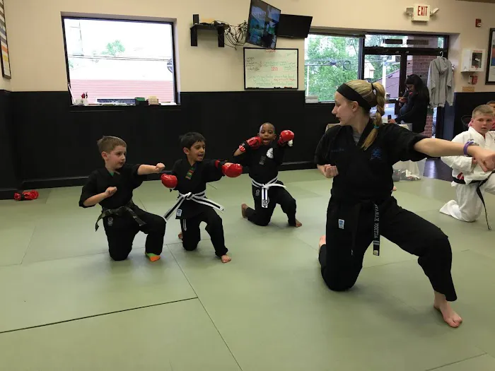 Action Karate Manayunk Picture 5