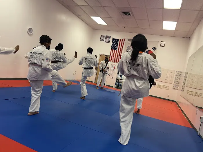 Richardson's Martial Arts Academy Picture 2