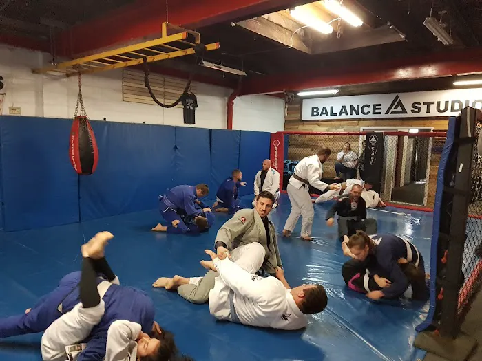 Balance Studios: Gracie Jiu-Jitsu & Muay Thai Picture 10