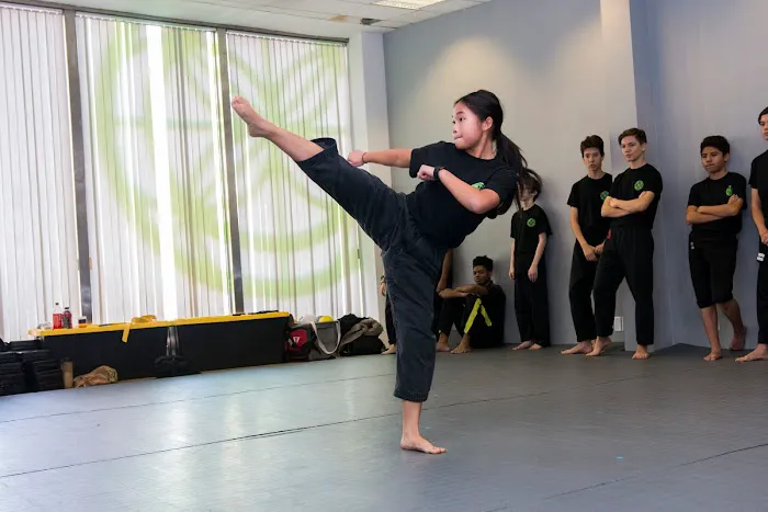 Martial Posture Picture 5