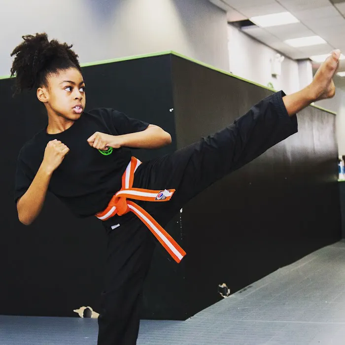 Martial Posture Picture 4