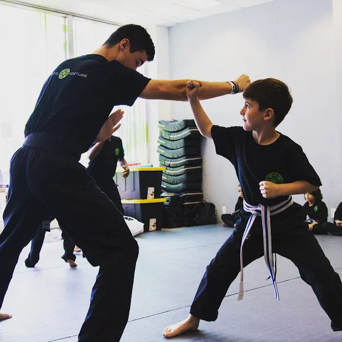Martial Posture Picture 8