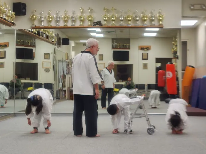 Positive Force Karate Picture 2