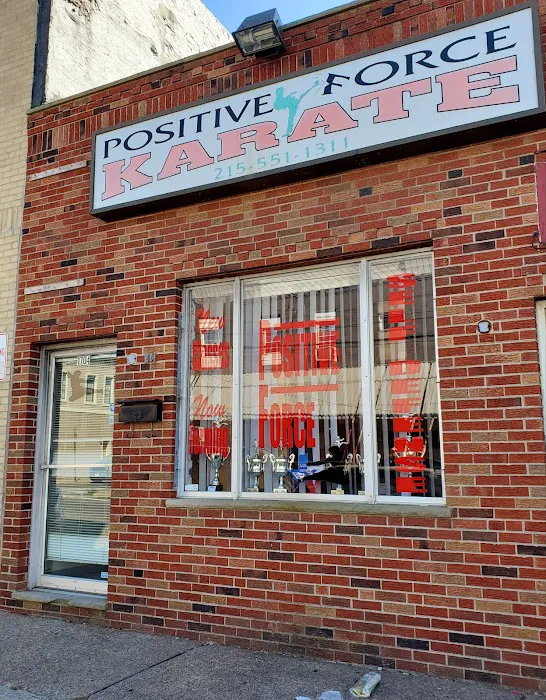 Positive Force Karate Picture 3