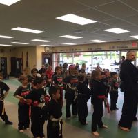 Action Karate Chalfont ico